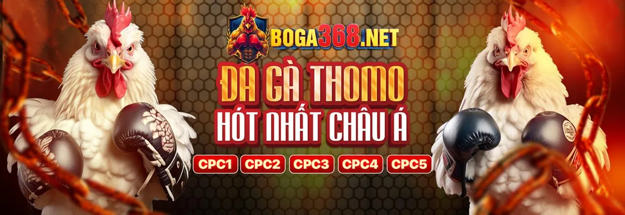 Hình ảnh chính hướng dẫn đăng ký 55vin
